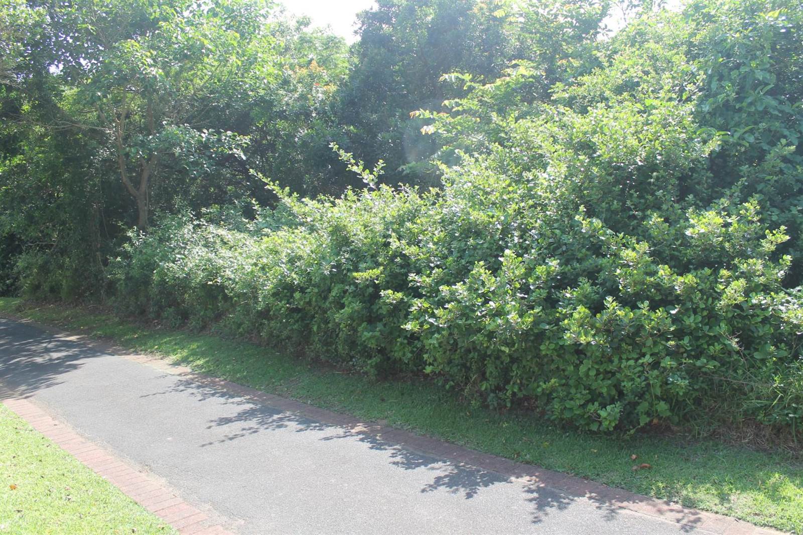 601 m² Land available in Princes Grant Golf Estate photo number 9