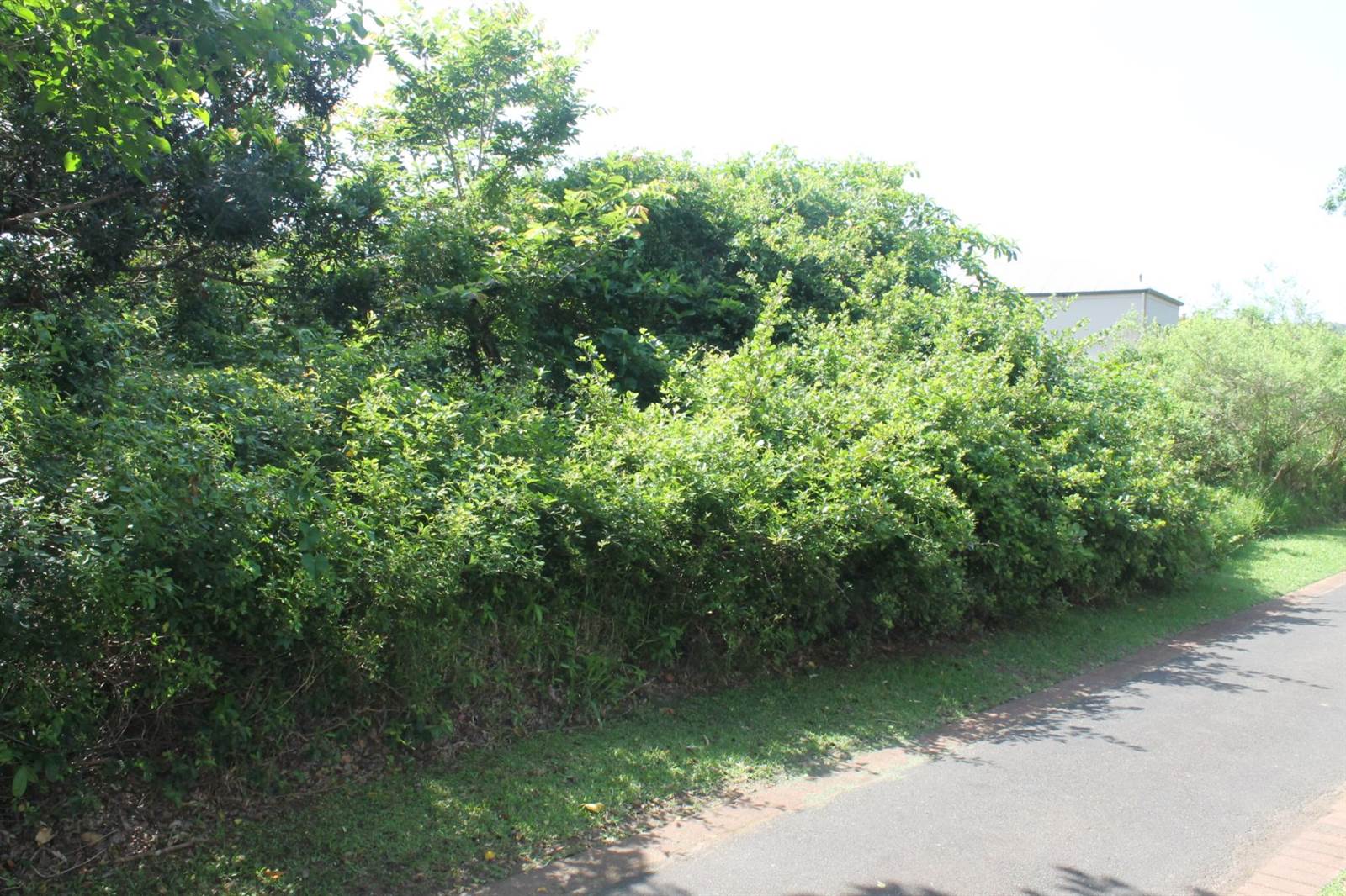 601 m² Land available in Princes Grant Golf Estate photo number 7