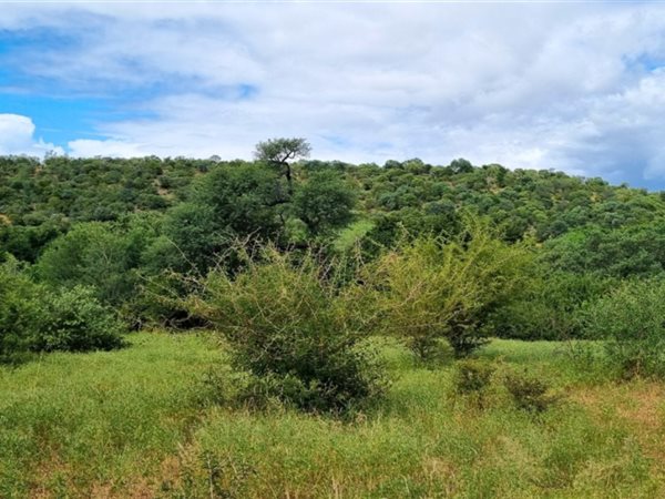 2 762 m² Land 2 762 m² Land