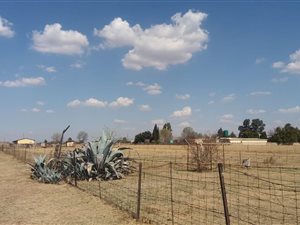 2.1 ha Land available in Buyscelia