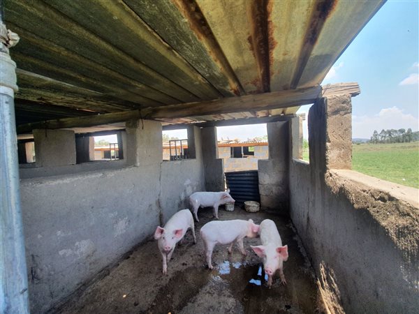 10.3 ha Smallholding 10.3 ha Smallholding