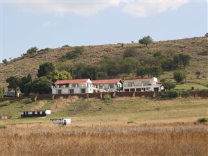 15 ha Farm in De Deur