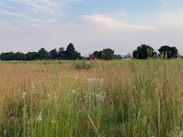 555 m² Land