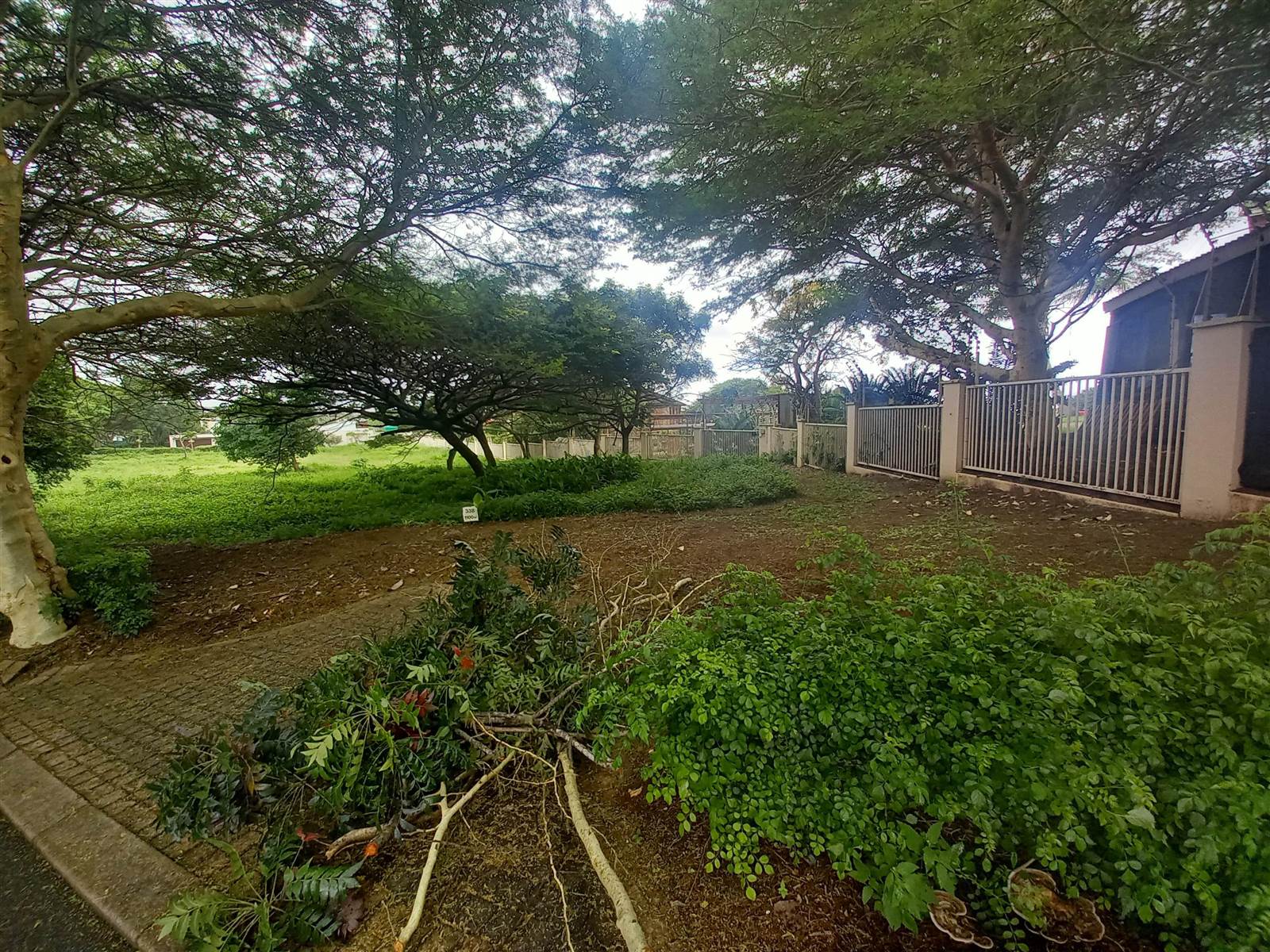 1100 m² Land available in Blythedale Beach photo number 3