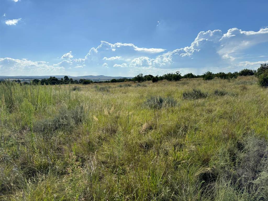 1 ha Land available in Vyfhoek photo number 5