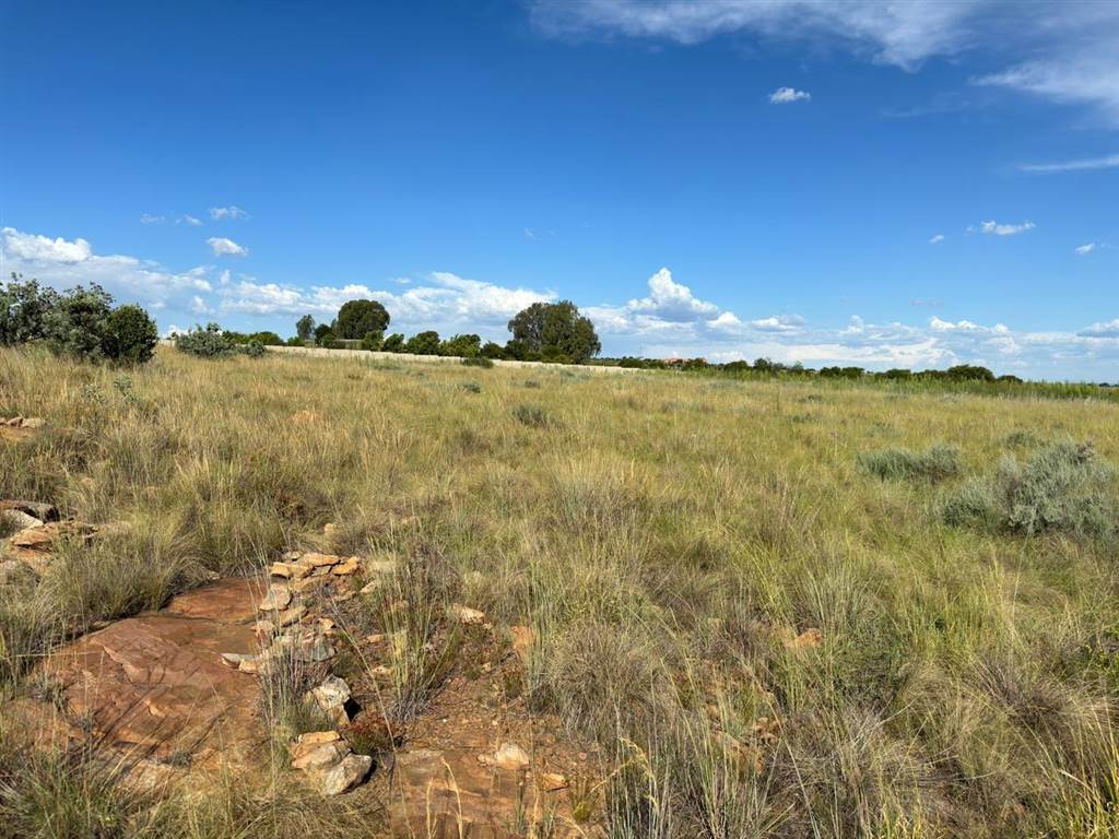 1 ha Land available in Vyfhoek photo number 8