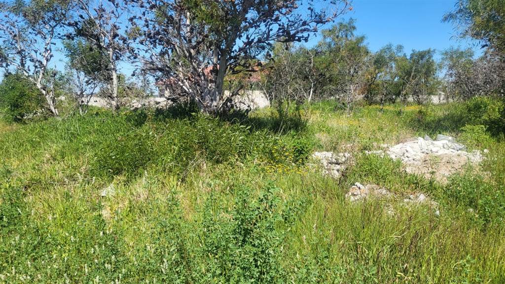 809 m² Land available in Fairview photo number 3