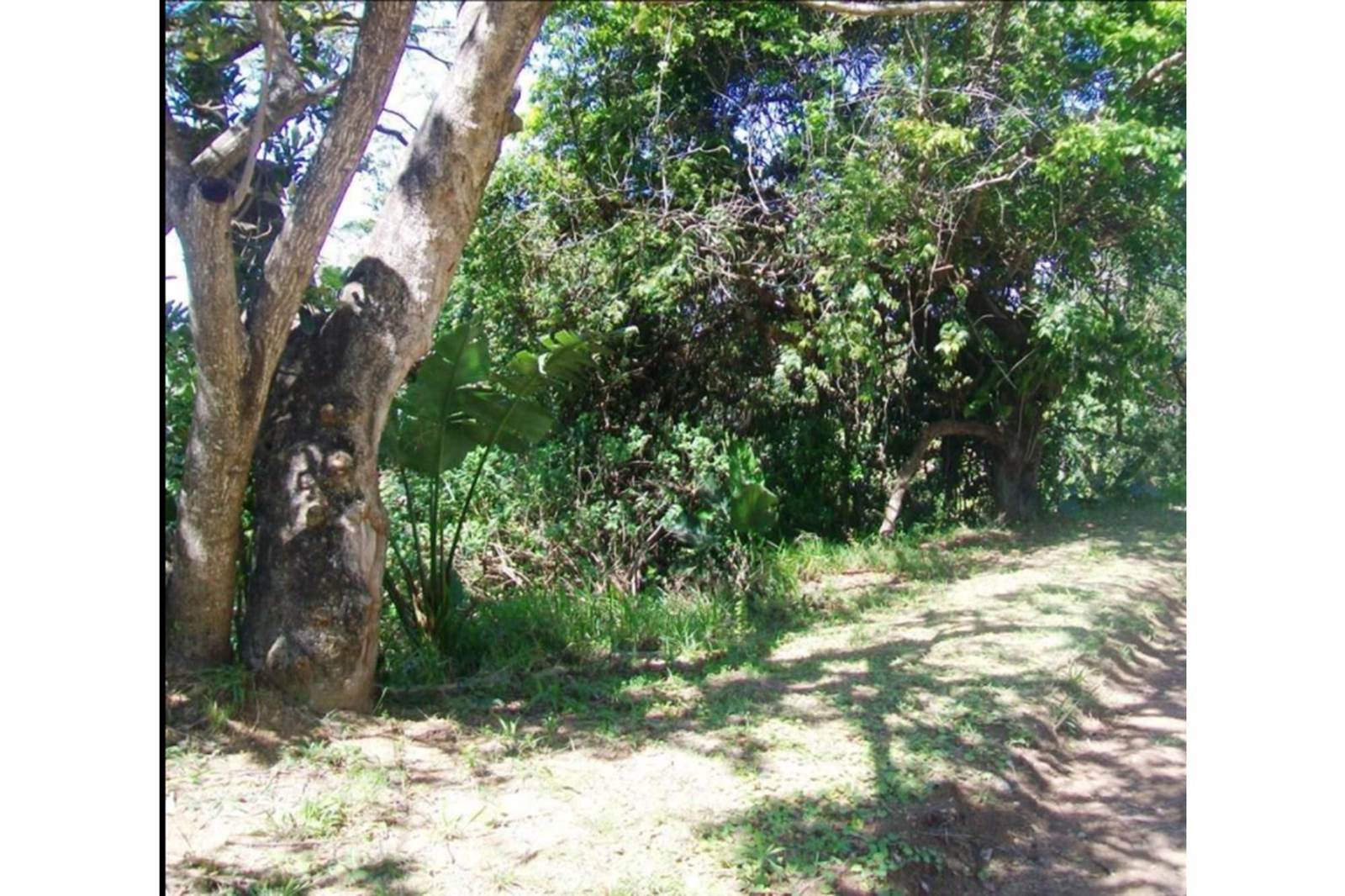 1557 m² Land available in Ramsgate photo number 6