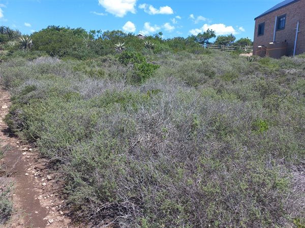 559 m² Land 559 m² Land