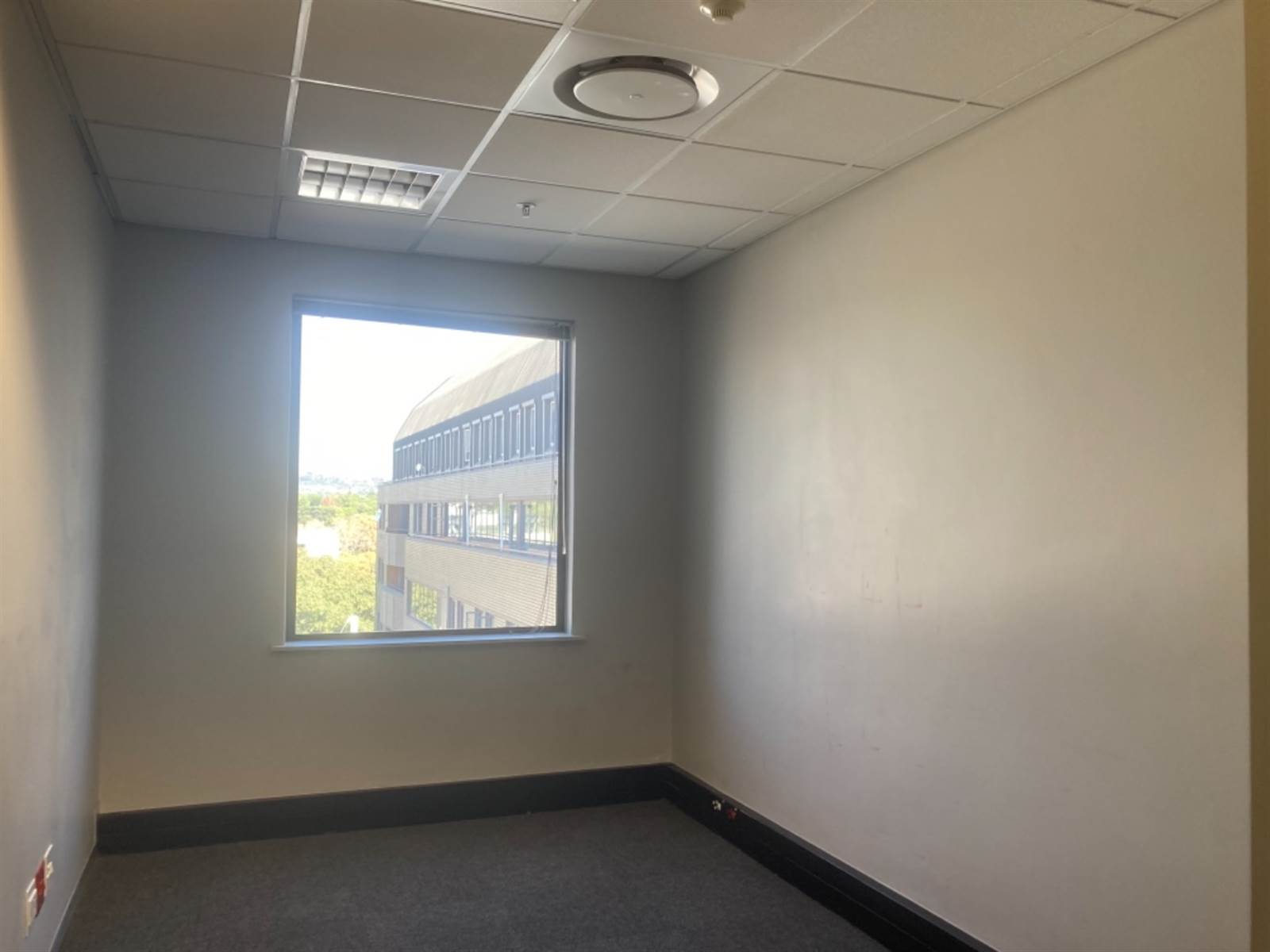 181  m² Commercial space in Rosebank photo number 5