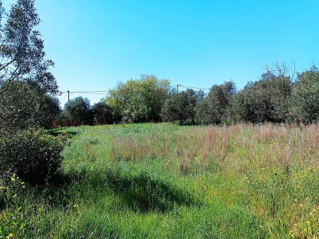 1115 m² Land available in Napier photo number 12