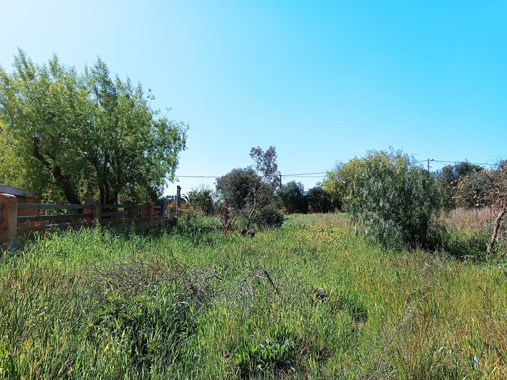 1115 m² Land available in Napier photo number 7