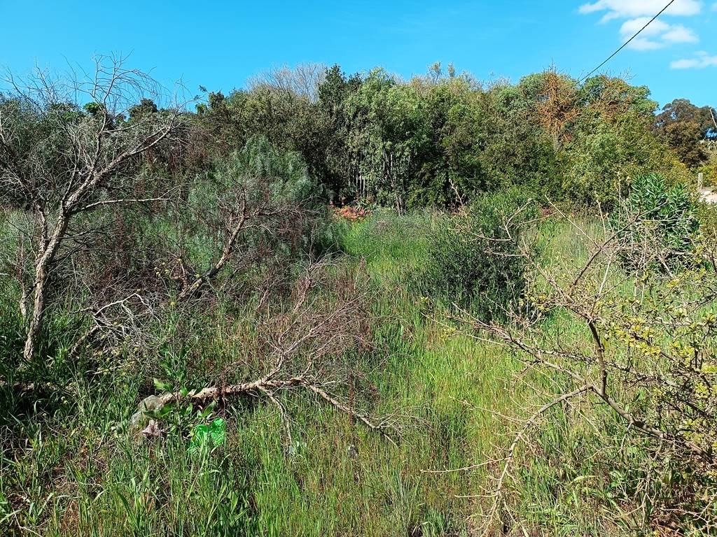 1115 m² Land available in Napier photo number 11