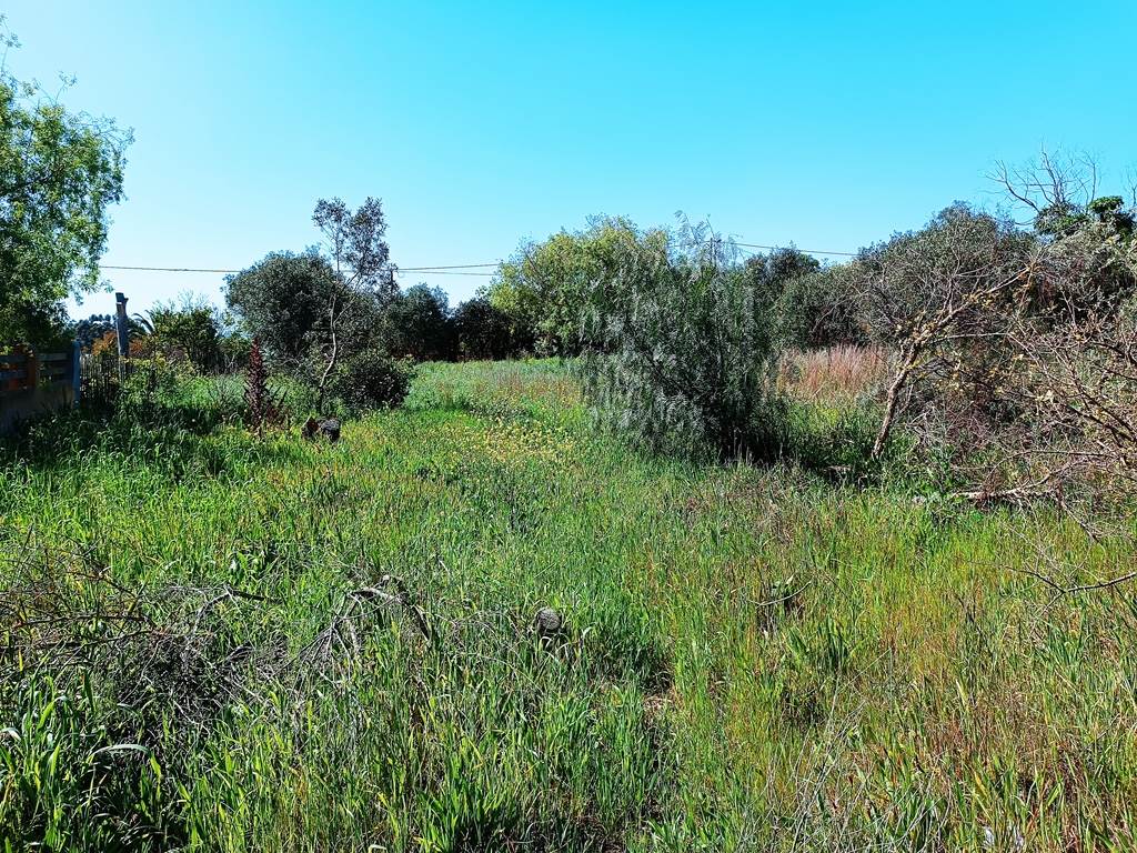 1115 m² Land available in Napier photo number 10