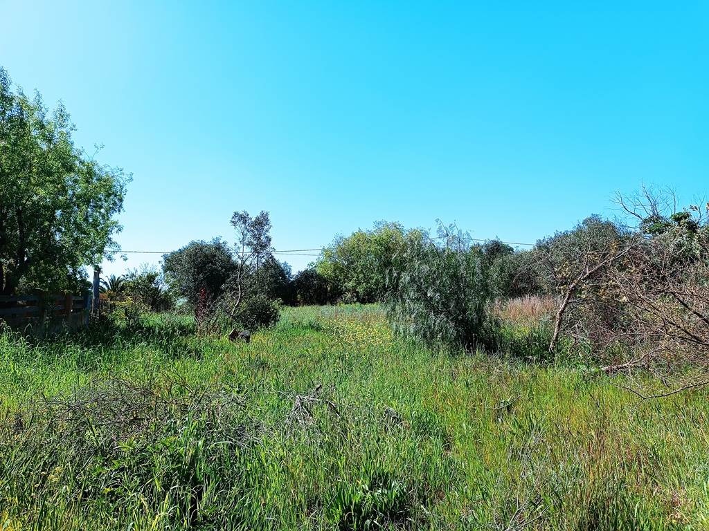 1115 m² Land available in Napier photo number 6