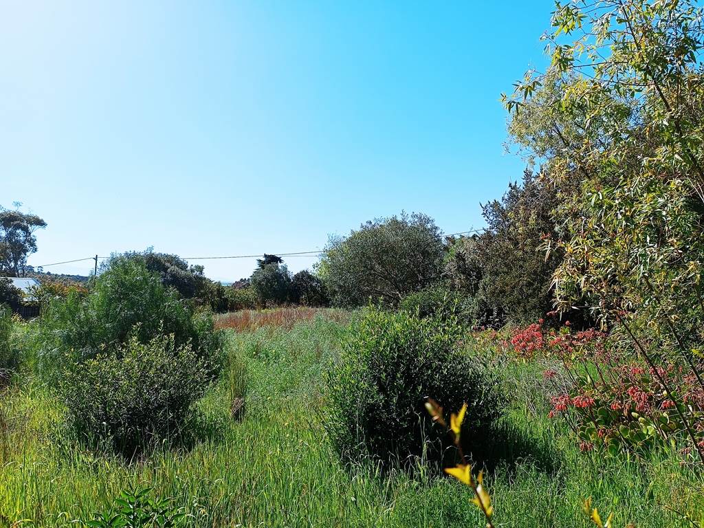 1115 m² Land available in Napier photo number 8