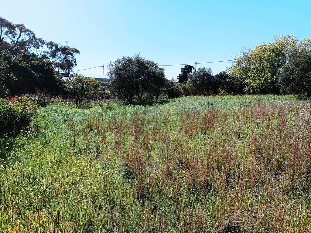 1115 m² Land available in Napier photo number 14