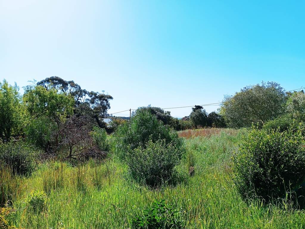 1115 m² Land available in Napier photo number 9