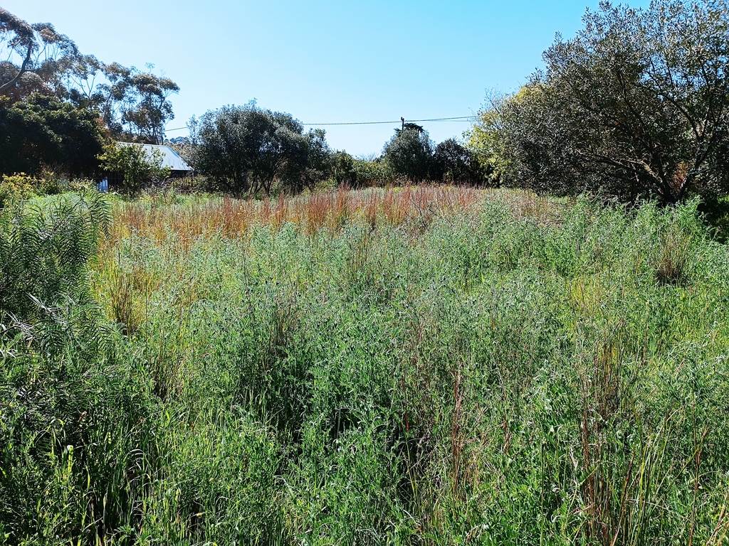 1115 m² Land available in Napier photo number 15