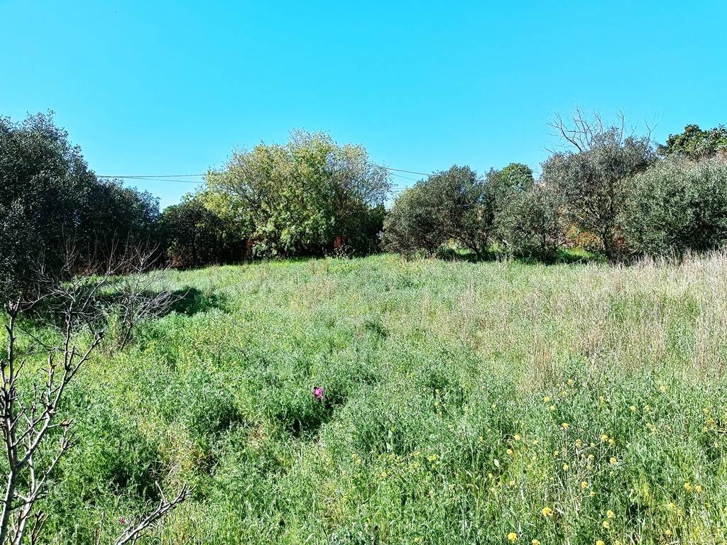 1115 m² Land available in Napier photo number 3