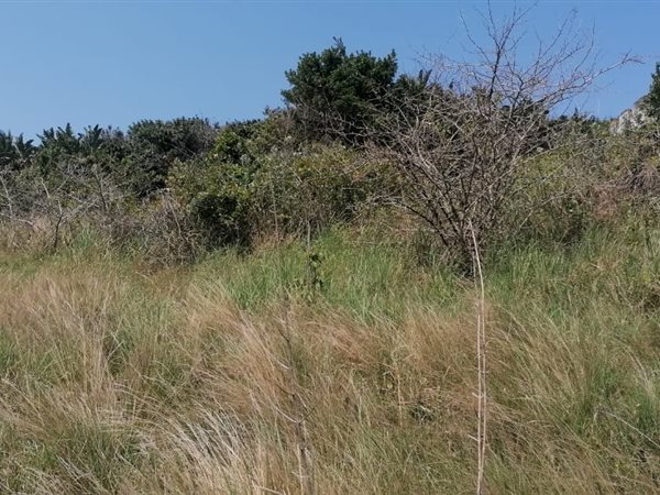 1 483 m² Land