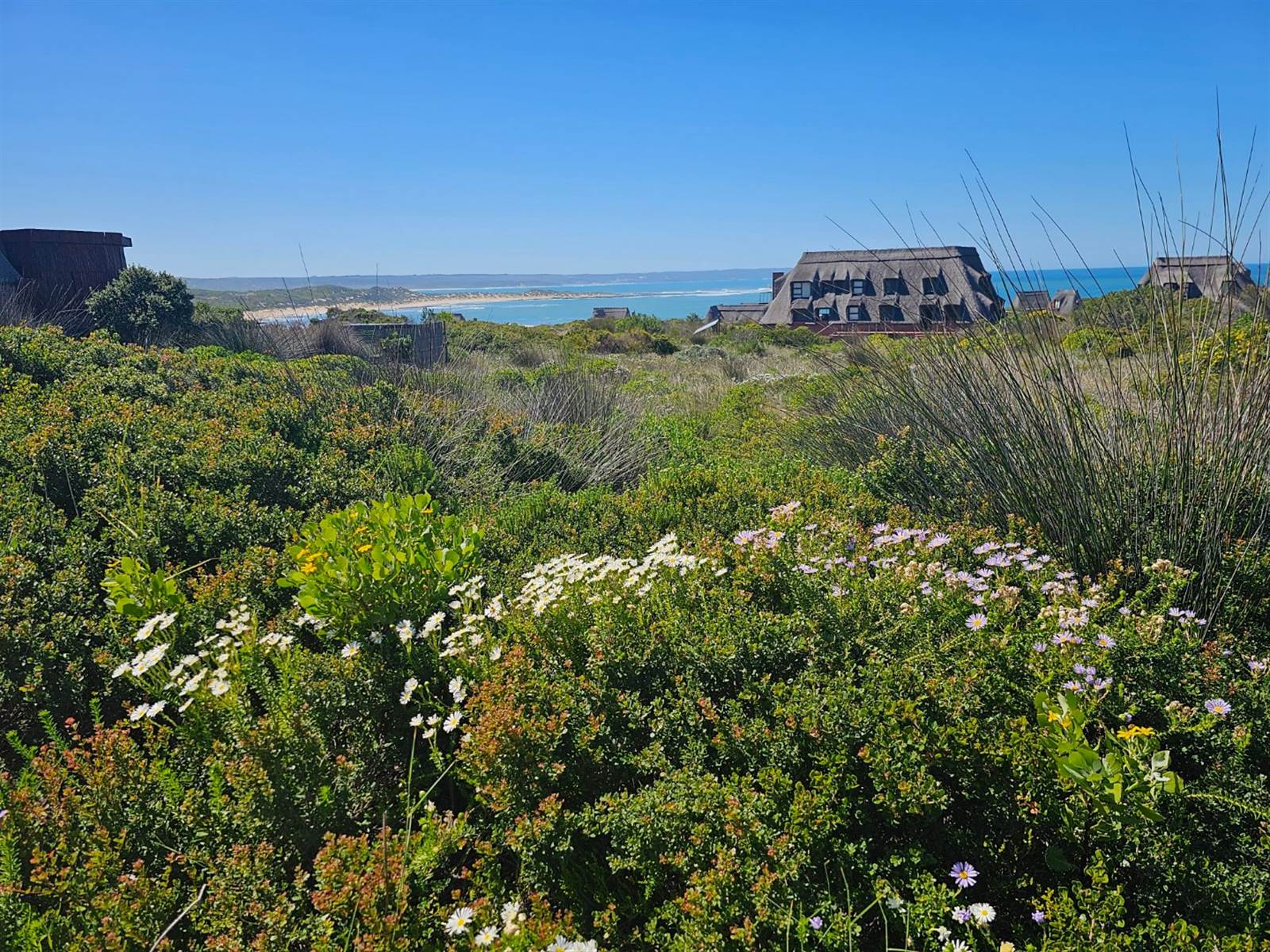 805 m² Land available in Stilbaai photo number 3
