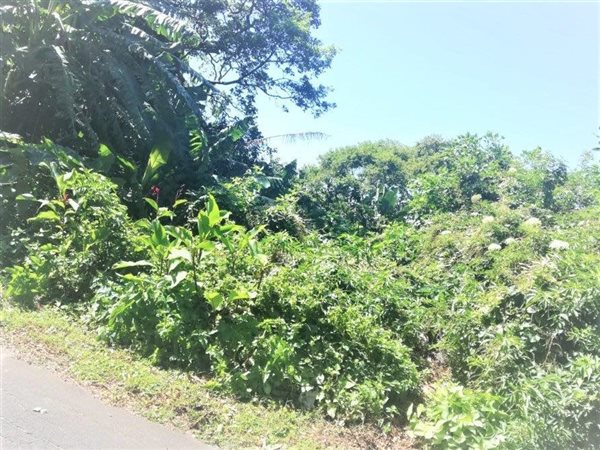 5391 m² Land available in Sea Park