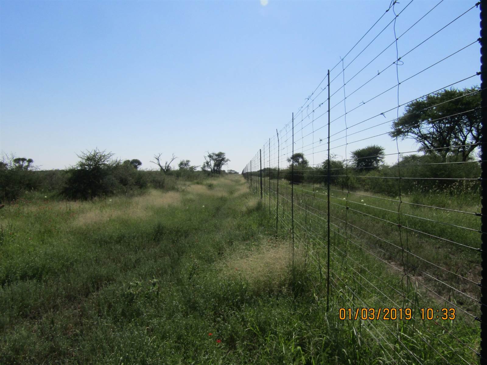 601 ha Farm in Thabazimbi photo number 5
