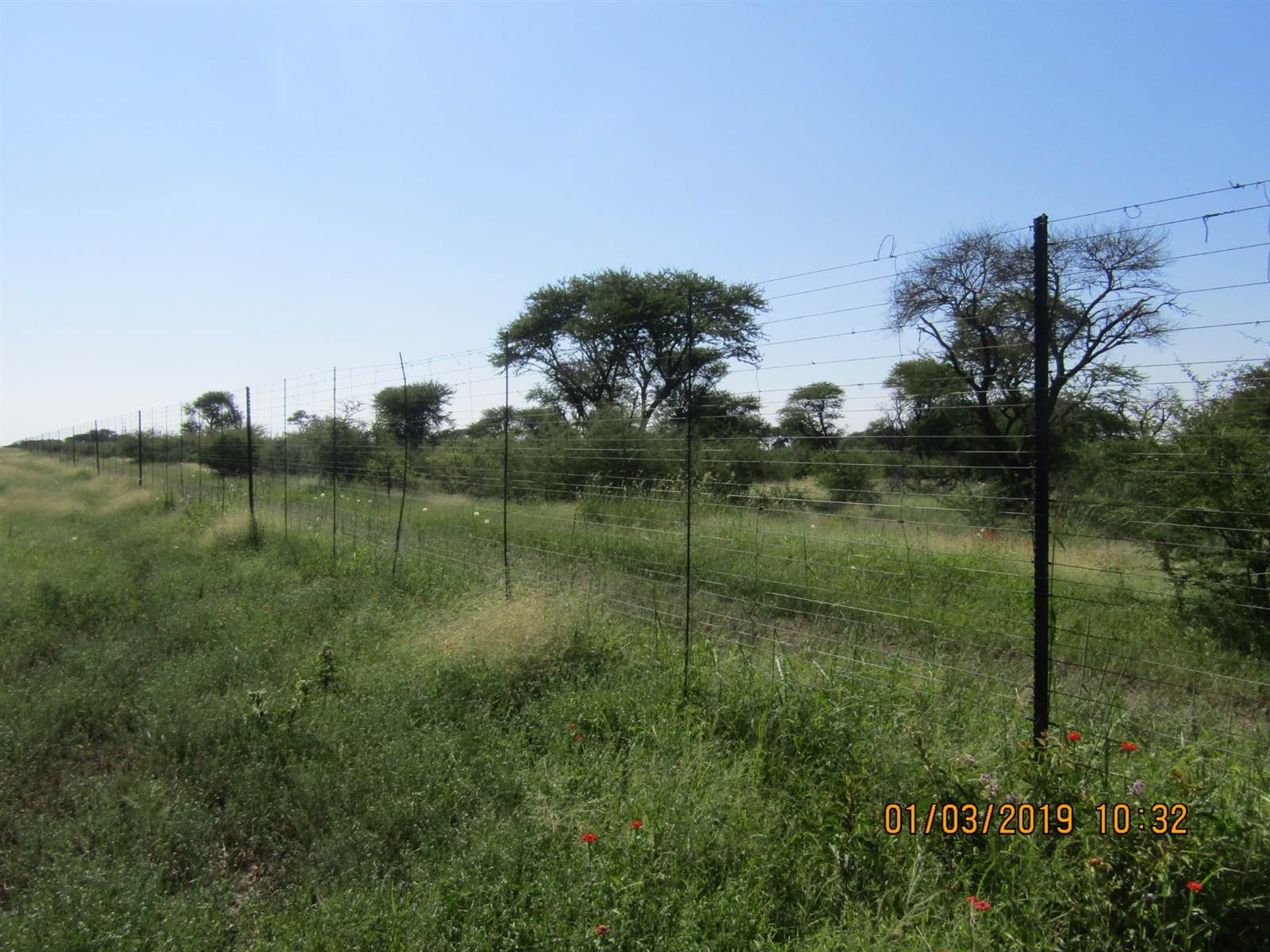 601 ha Farm in Thabazimbi photo number 7
