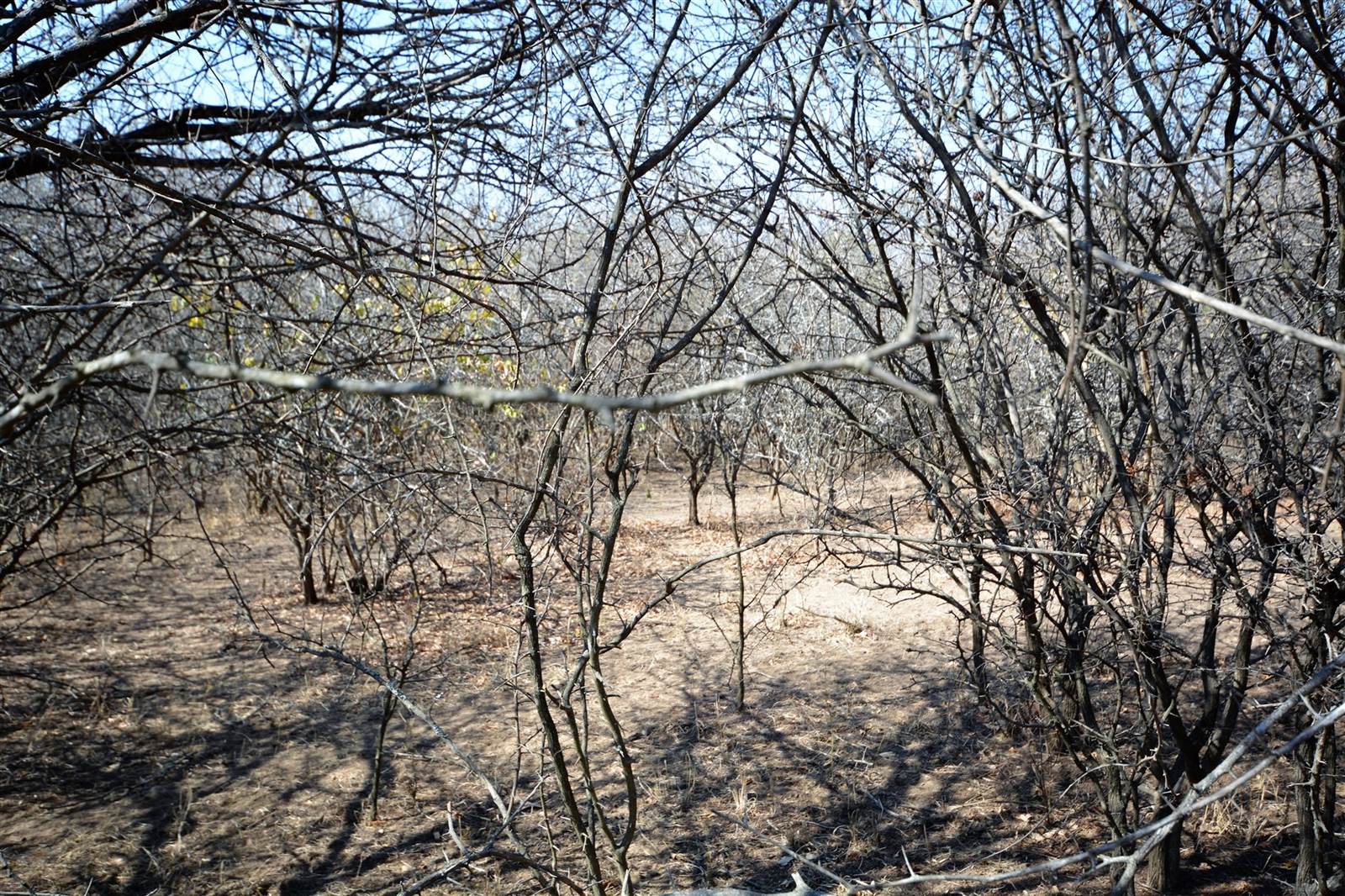1 ha Land available in Moditlo Nature Reserve photo number 13
