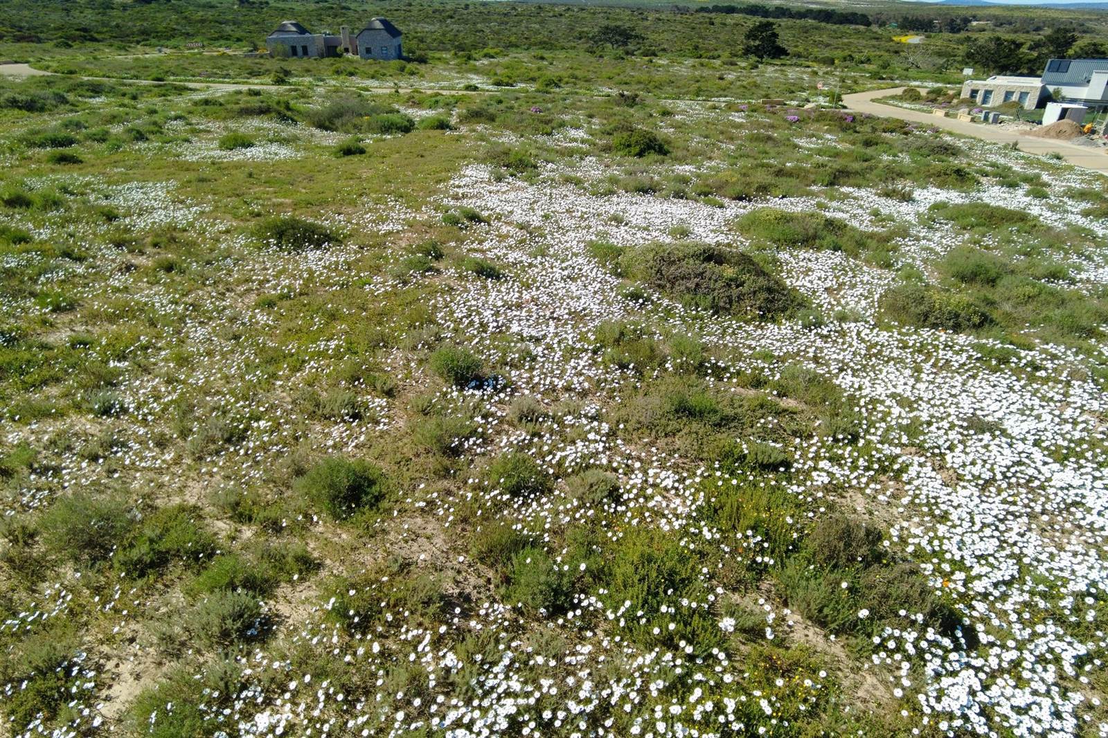 658 m² Land available in Langebaan photo number 5
