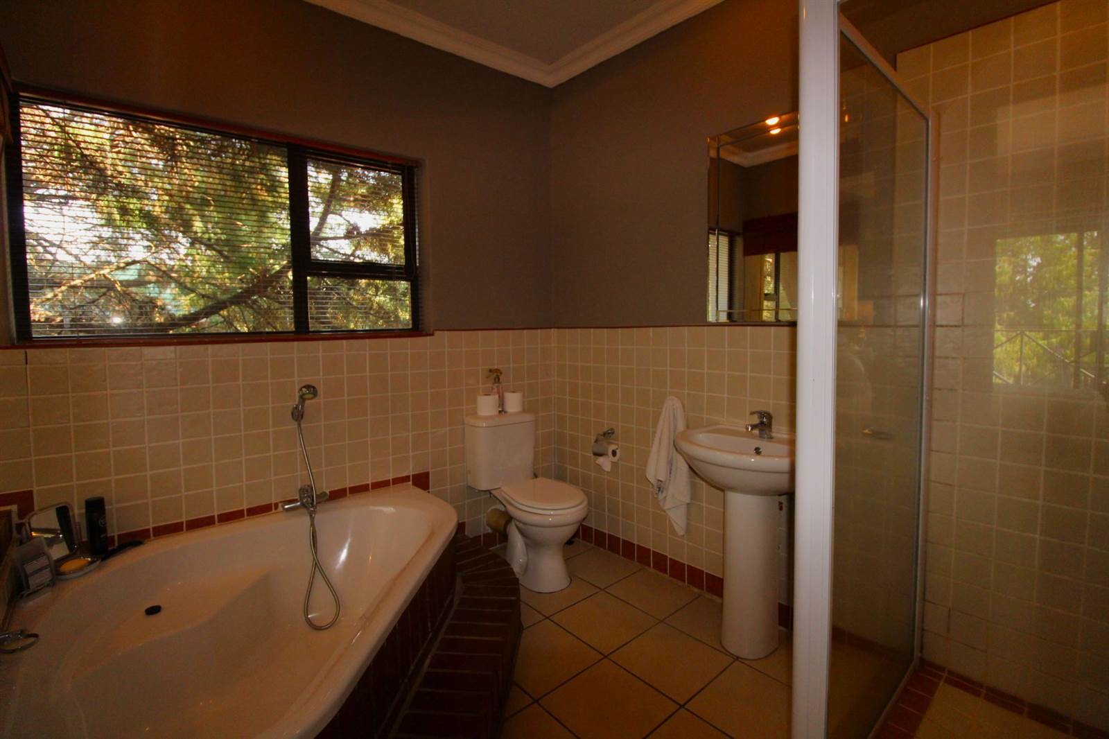 8 Bed House in Dullstroom photo number 4