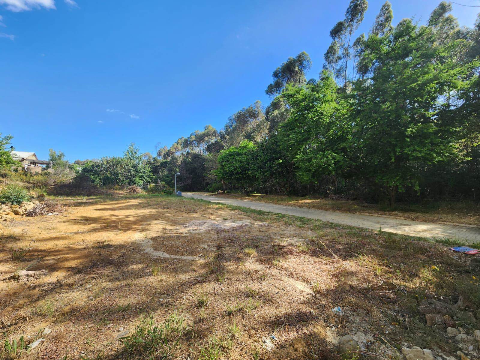 800 m² Land available in Swellendam photo number 4