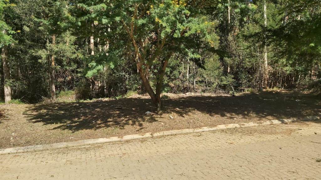 800 m² Land available in Swellendam photo number 9