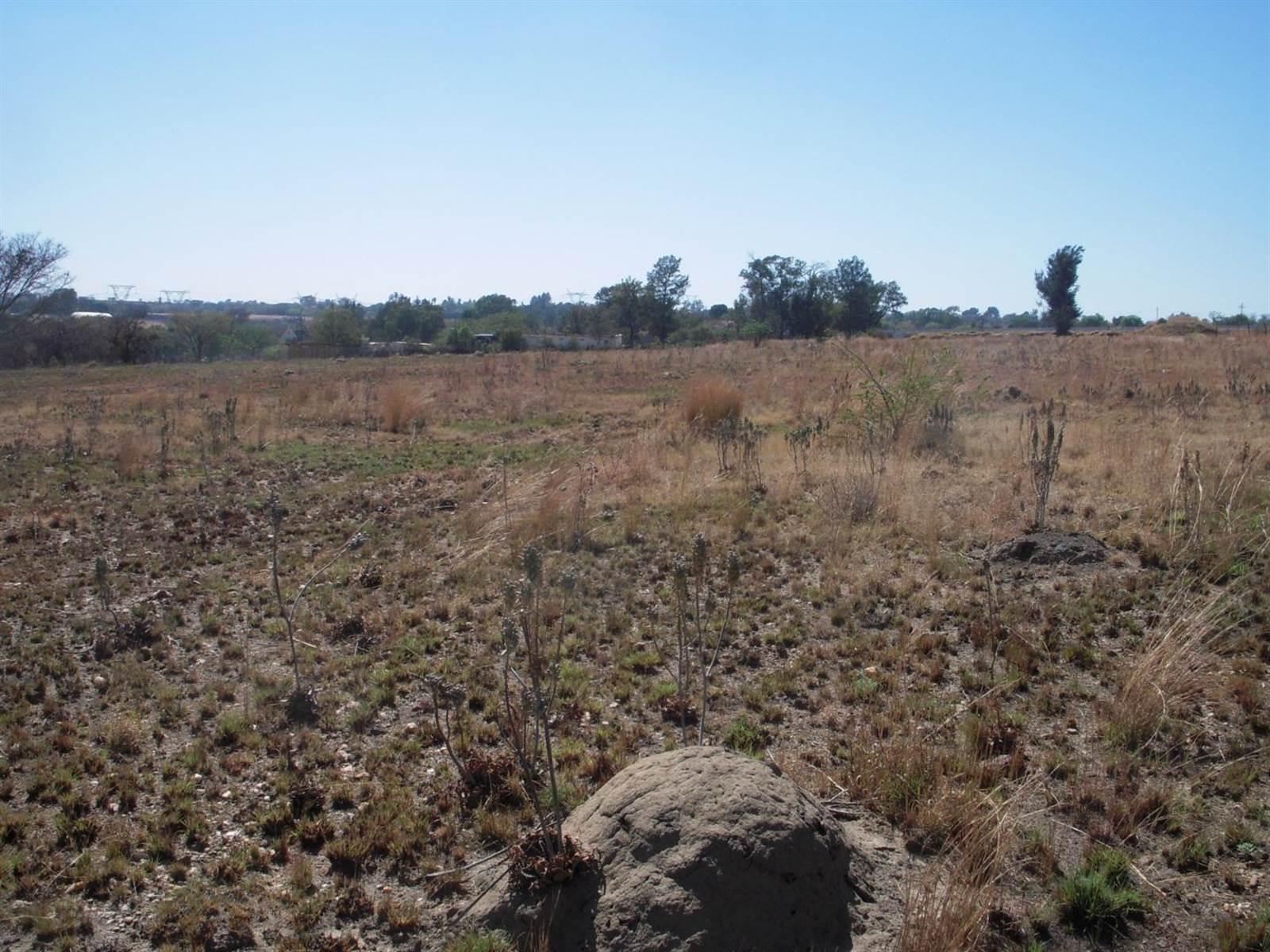 3 ha Land available in Laezonia photo number 2