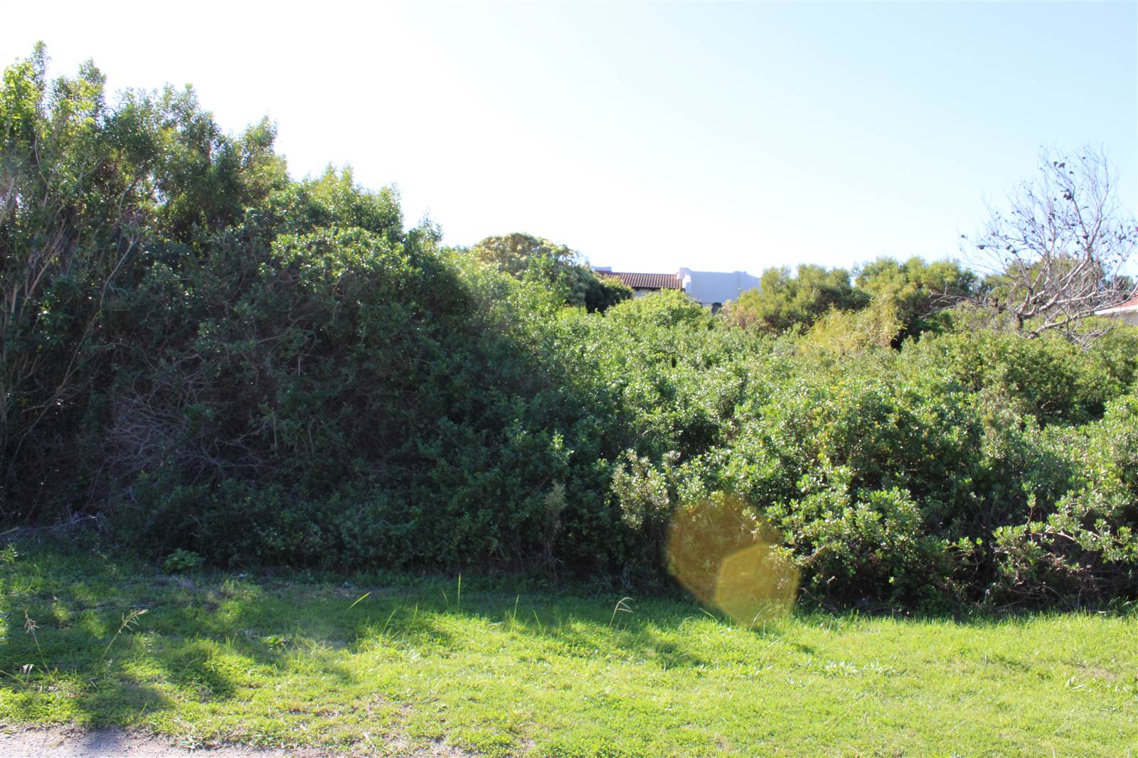 777 m² Land available in Santareme photo number 10