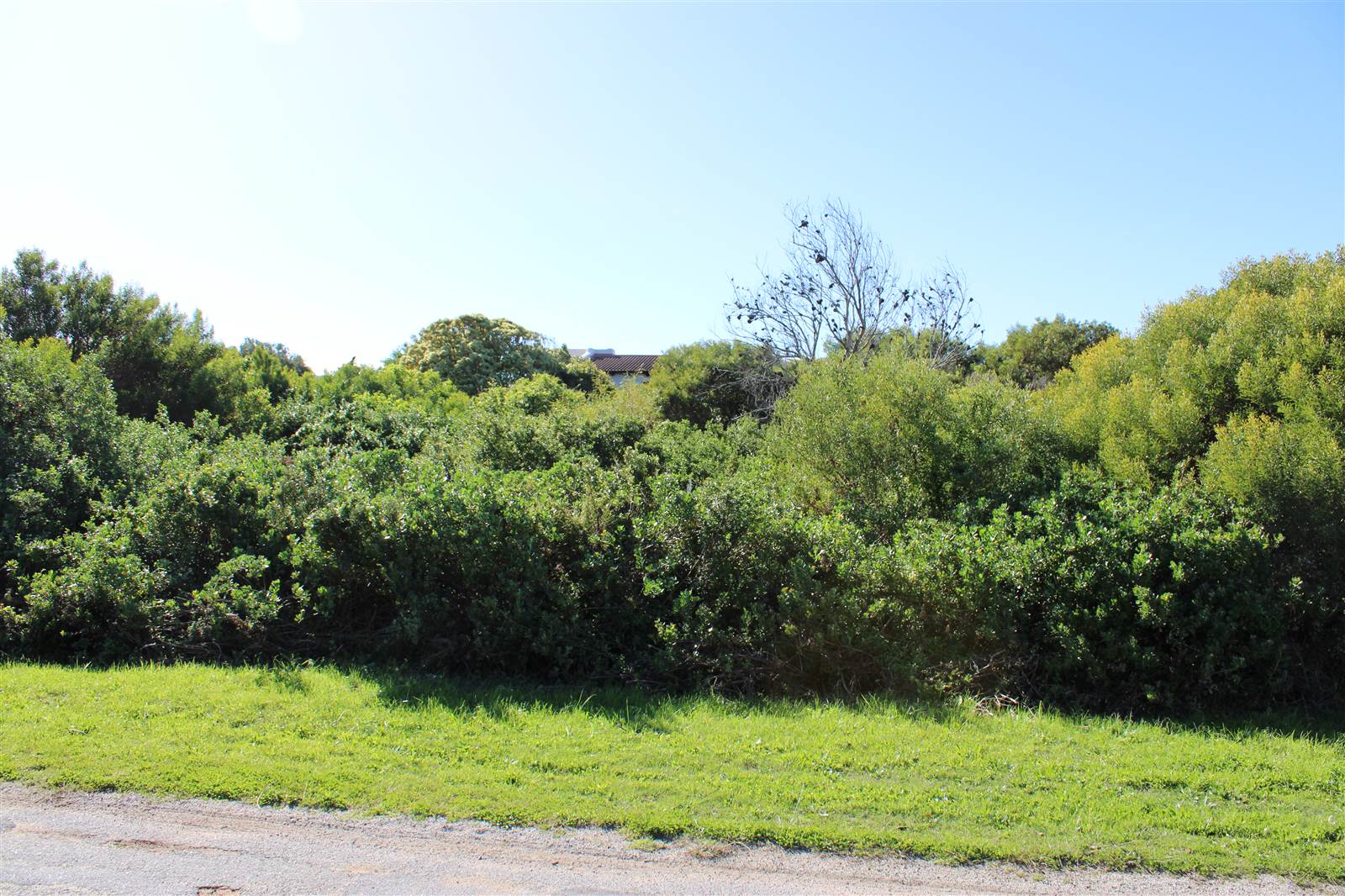 777 m² Land available in Santareme photo number 8