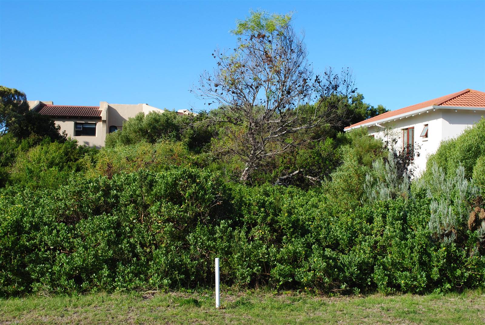 777 m² Land available in Santareme photo number 1