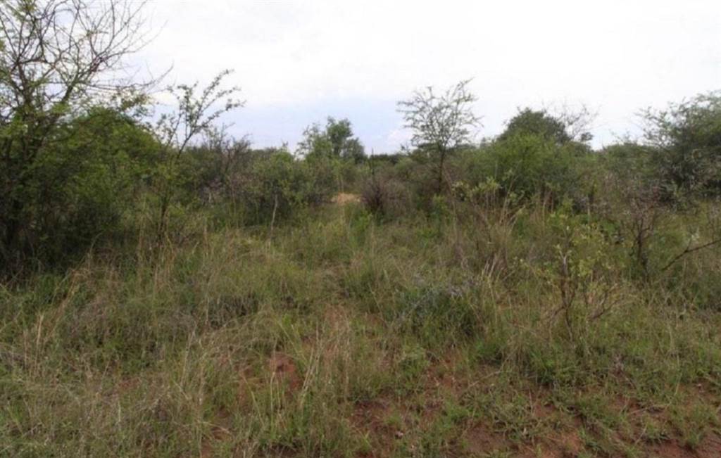 1.8 ha Land available in Thabazimbi photo number 4