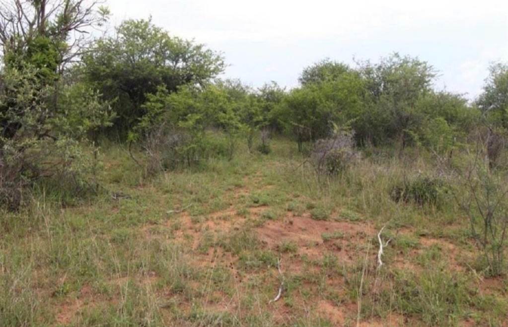 1.8 ha Land available in Thabazimbi photo number 3