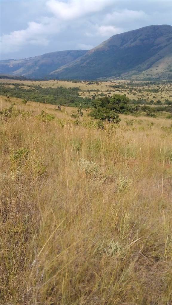 68 ha Farm in Waterval Boven photo number 28