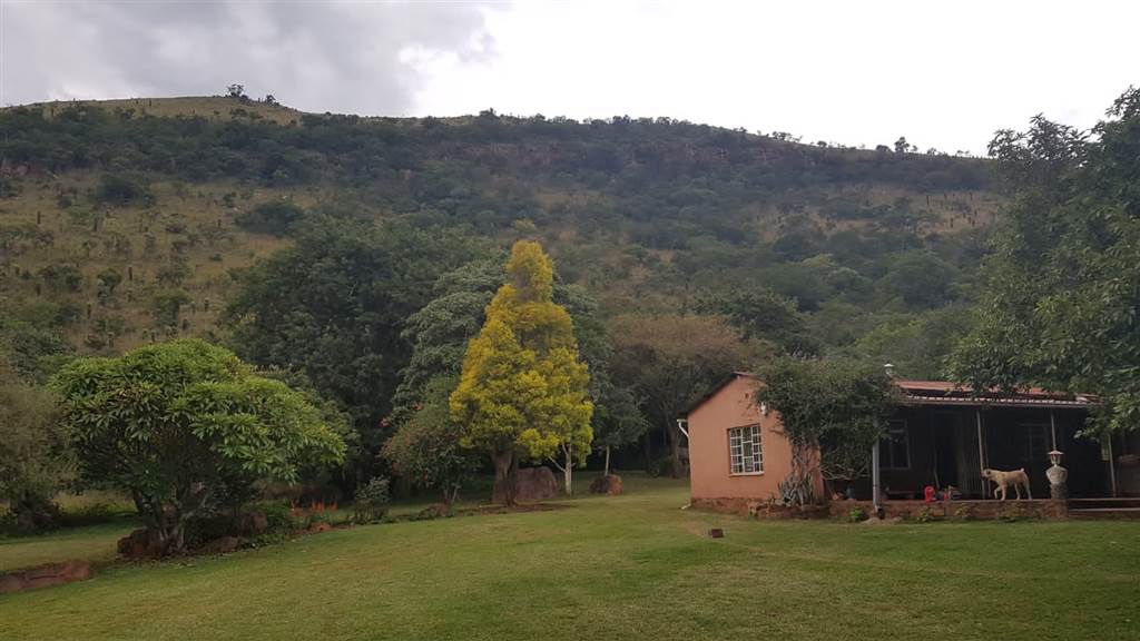 68 ha Farm in Waterval Boven photo number 22