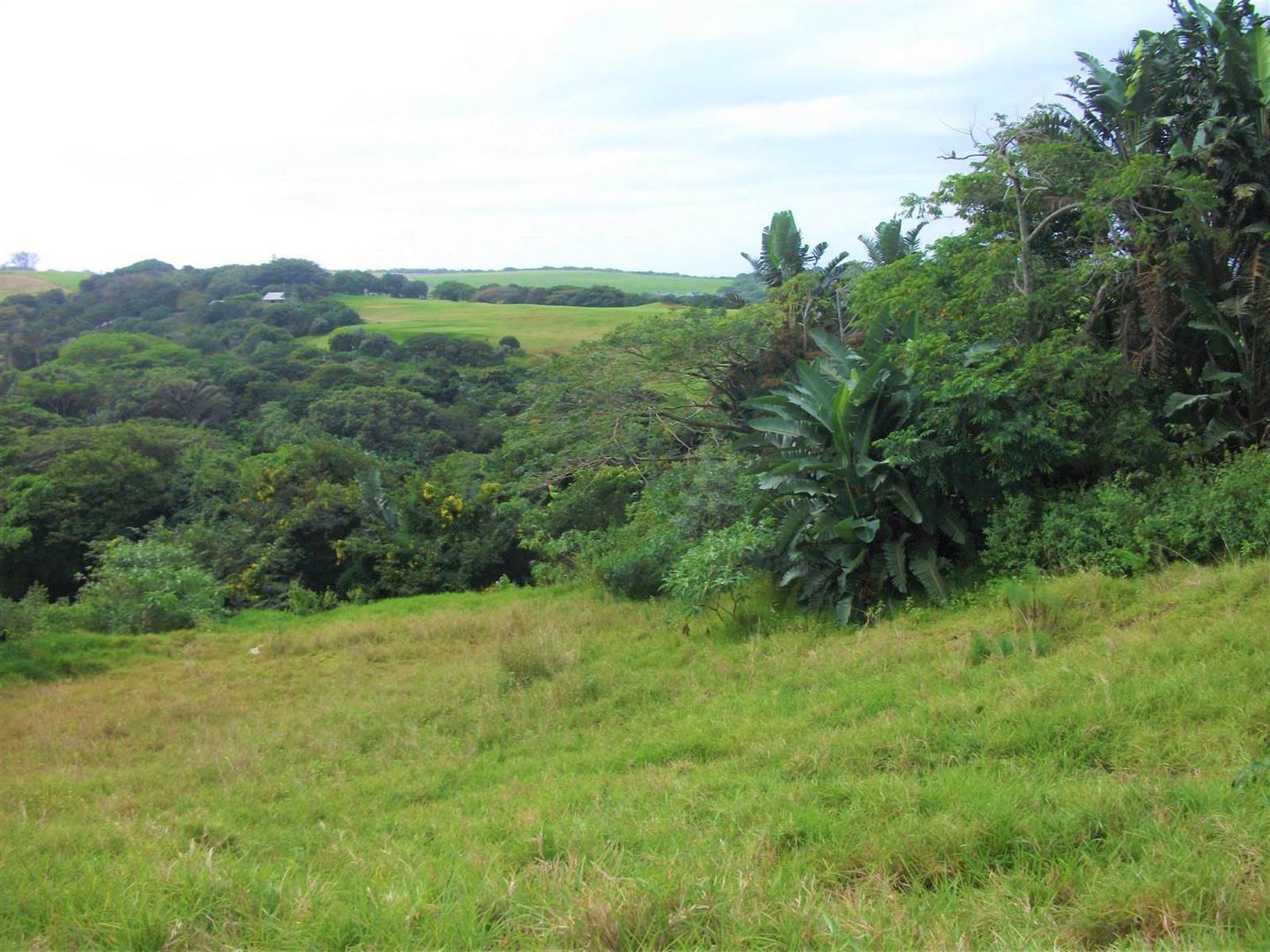721 m² Land available in Princes Grant Golf Estate photo number 2
