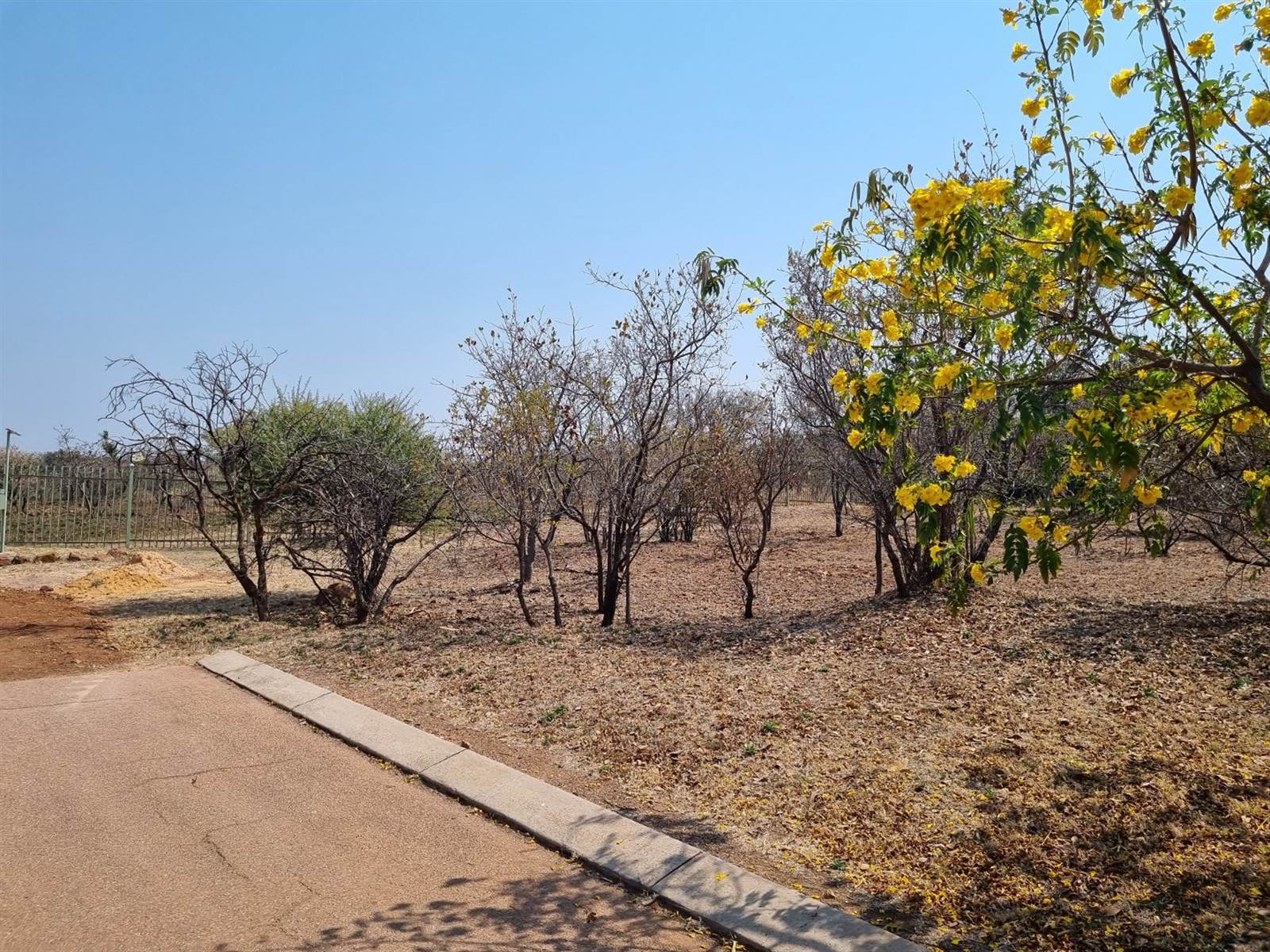 700 m² Land available in Bela-Bela (Warmbaths) photo number 5
