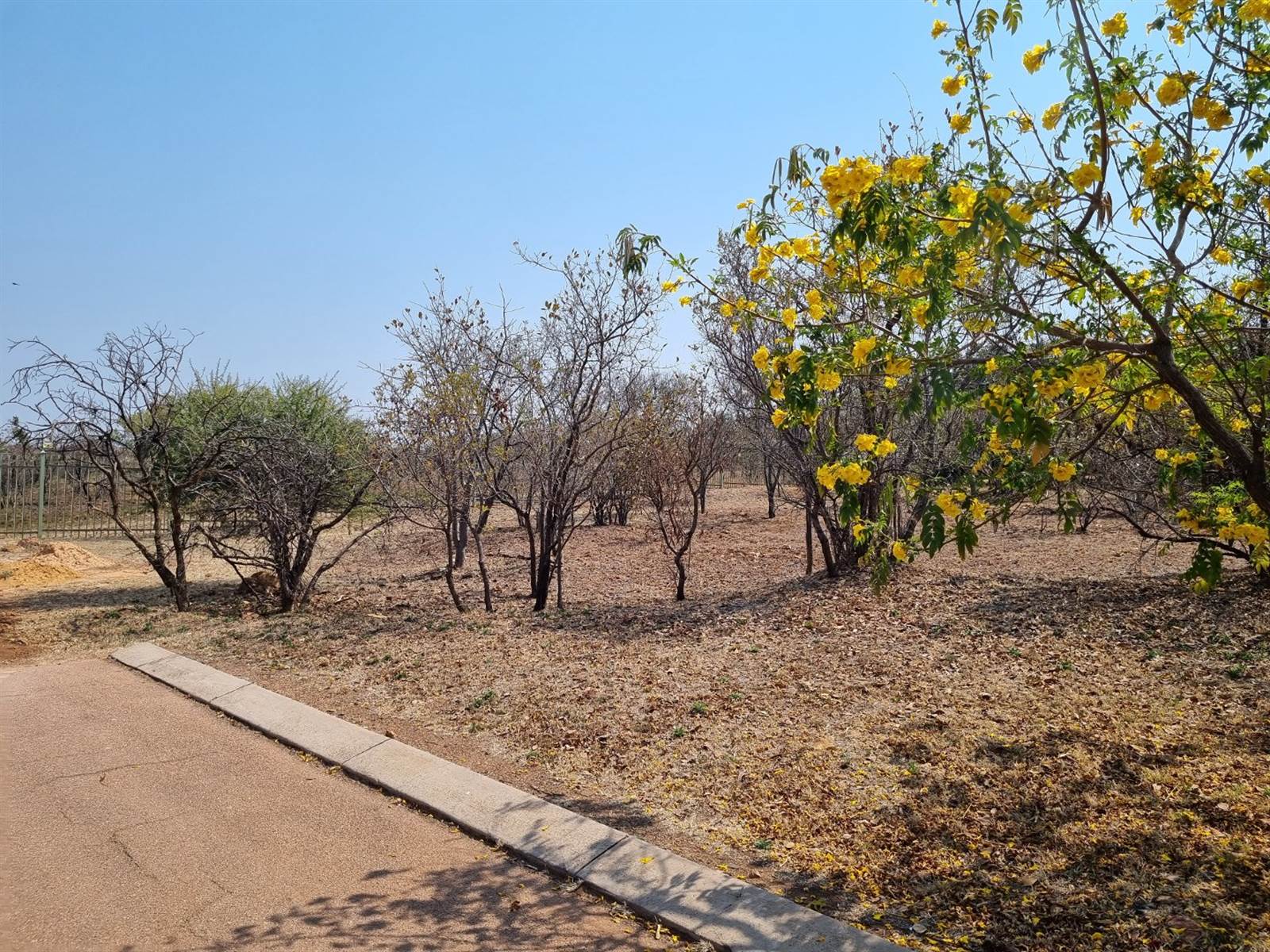 700 m² Land available in Bela-Bela (Warmbaths) photo number 1