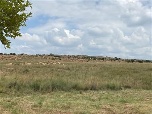 1.9 ha Land available in Bronkhorstbaai