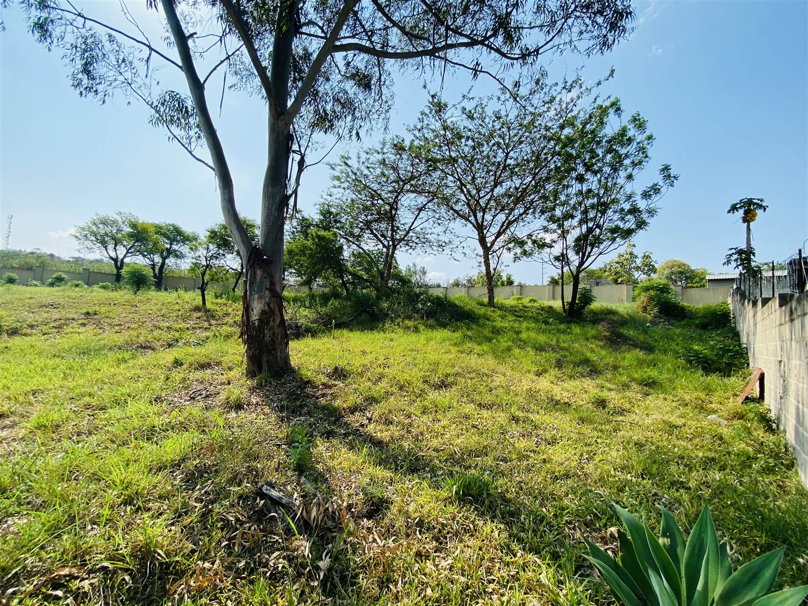 1951 m² Land available in Drum Rock photo number 8