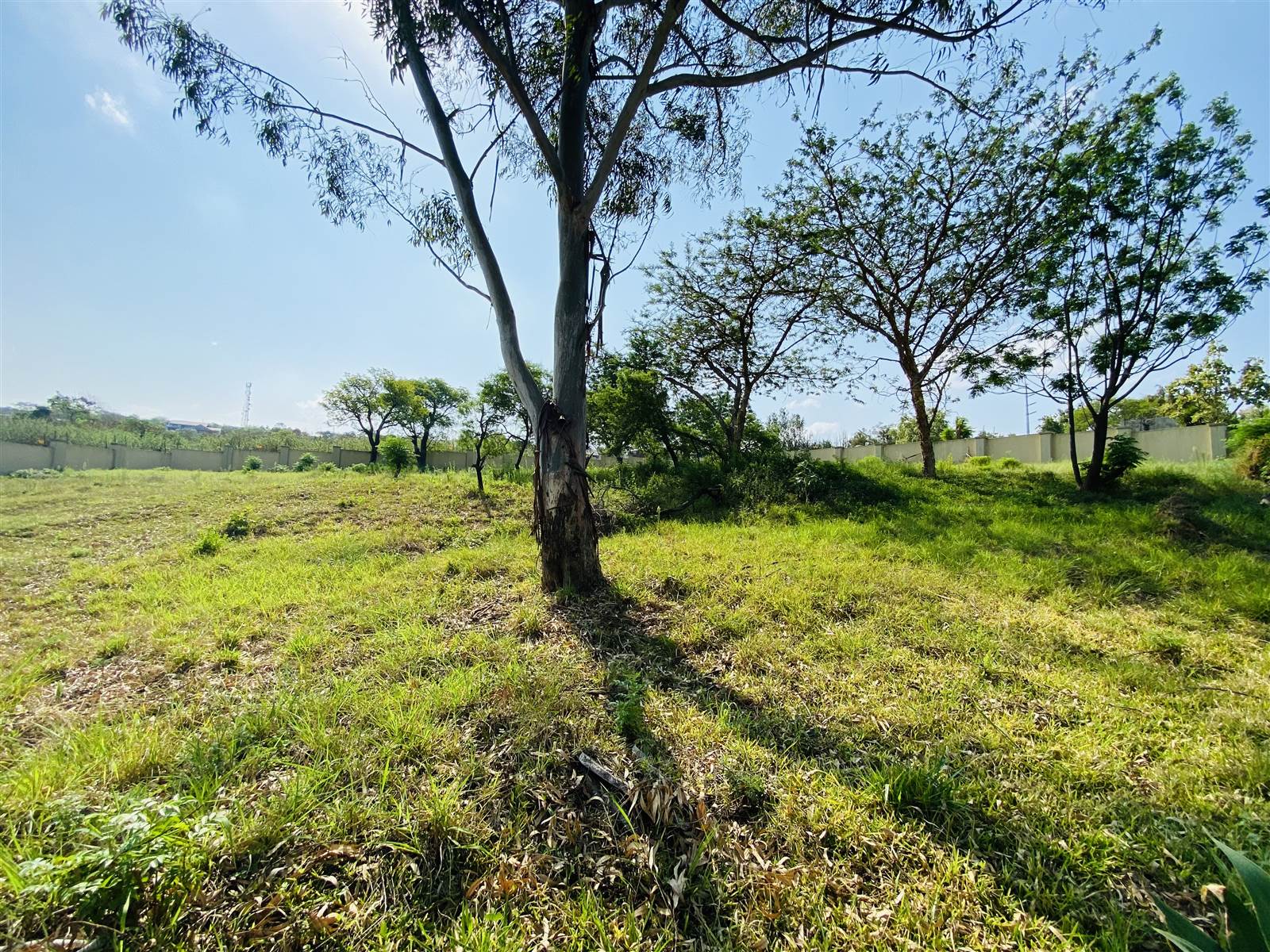 1951 m² Land available in Drum Rock photo number 6
