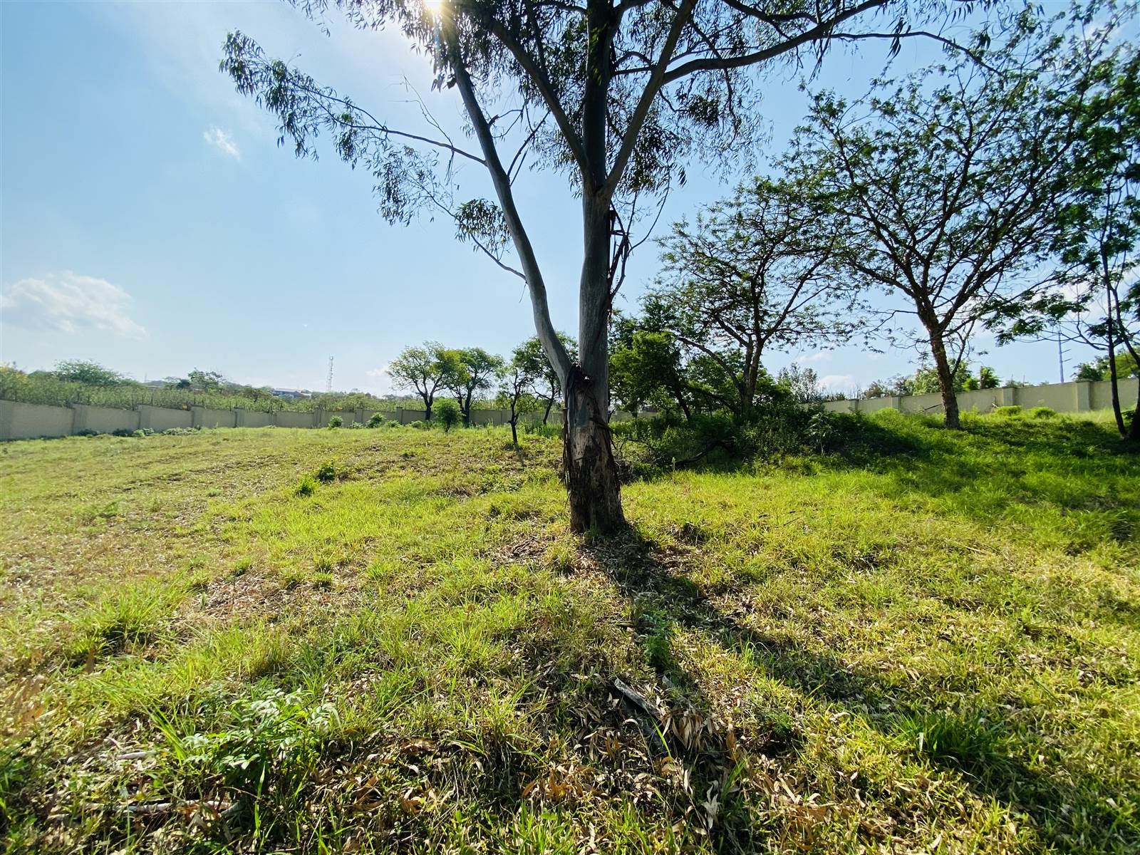 1951 m² Land available in Drum Rock photo number 7