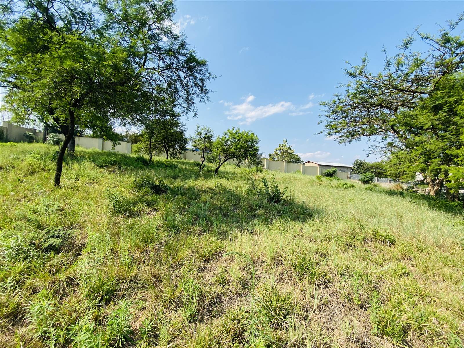 1951 m² Land available in Drum Rock photo number 5